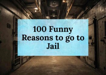100 Funny Reasons to go to Jail