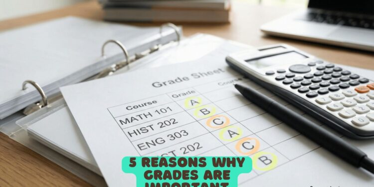 5 Reasons why Grades are Important