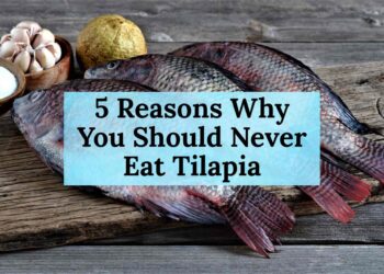 5 Reasons Why You Should Never Eat Tilapia