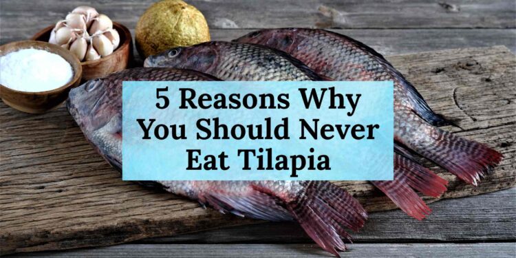 5 Reasons Why You Should Never Eat Tilapia