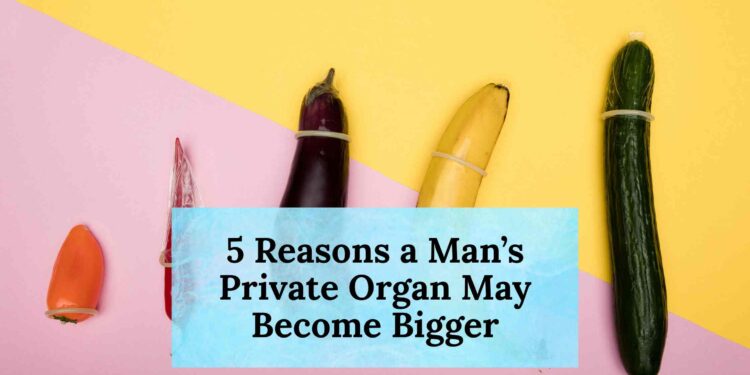 5 Reasons a Man’s Private Organ May Become Bigger