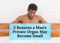 5 Reasons a Man’s Private Organ May Become Small