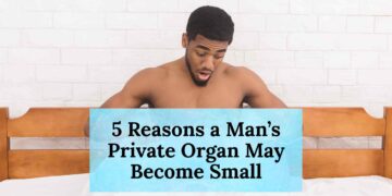 5 Reasons a Man’s Private Organ May Become Small