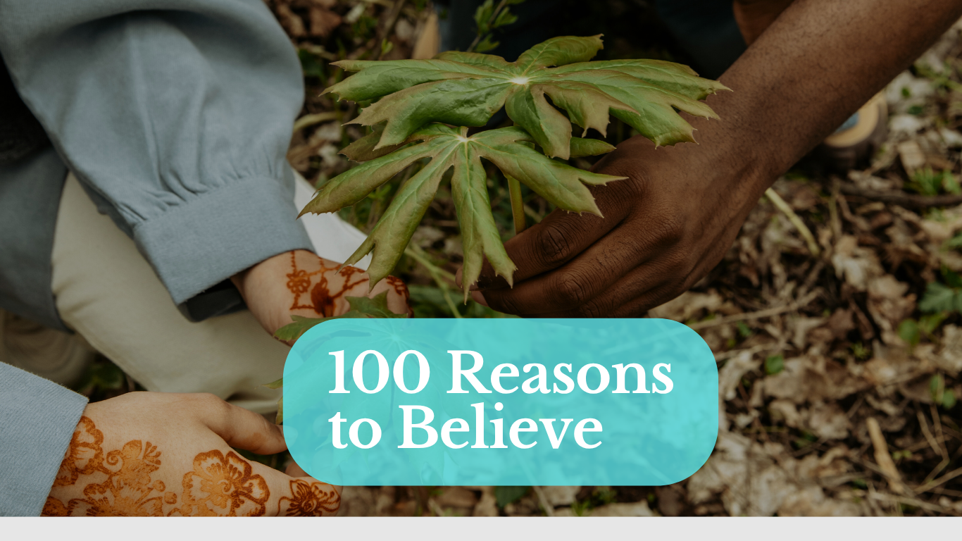 100 inspirational reasons to believe