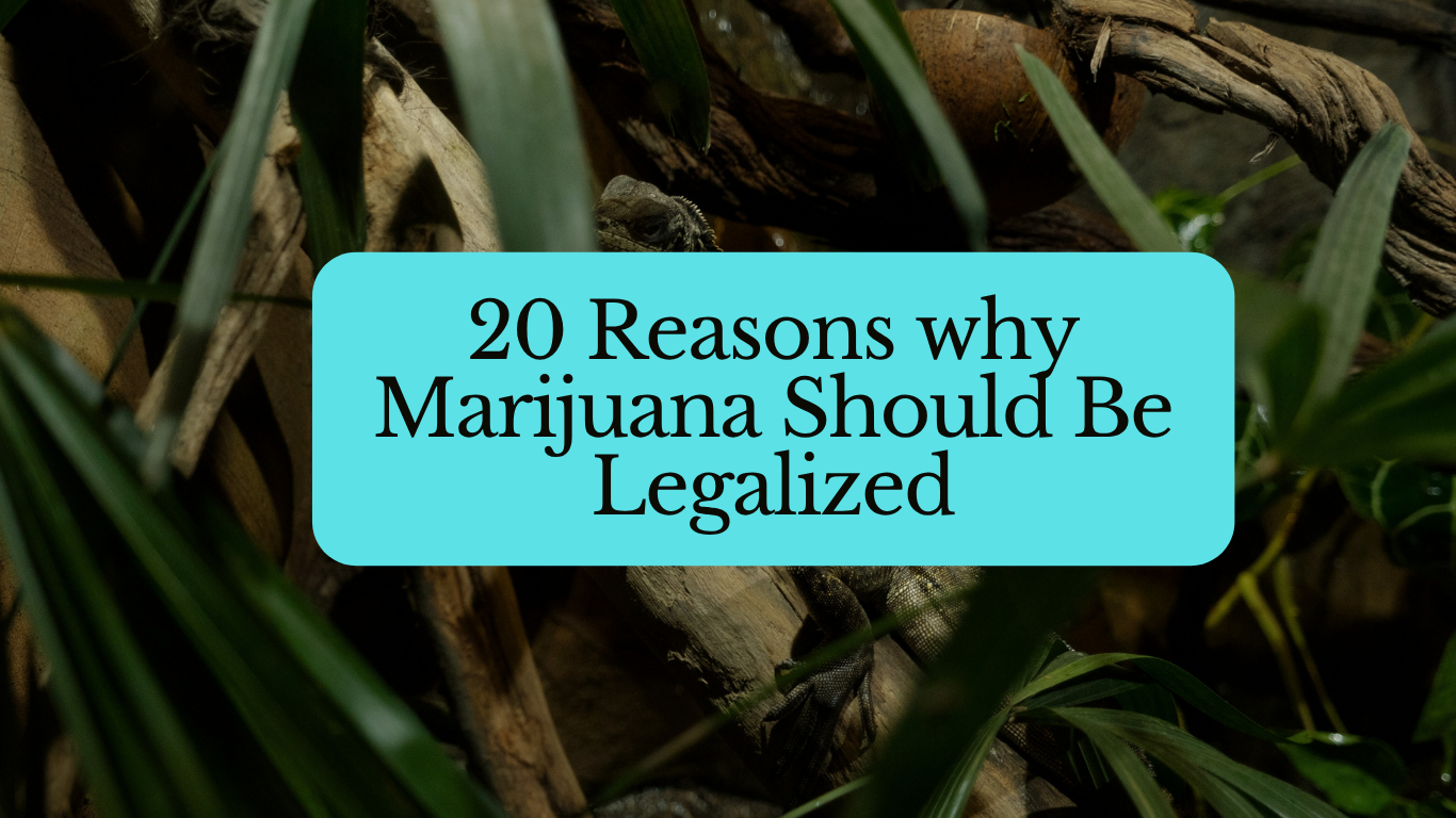 20 reasons why marijuana should be legalized