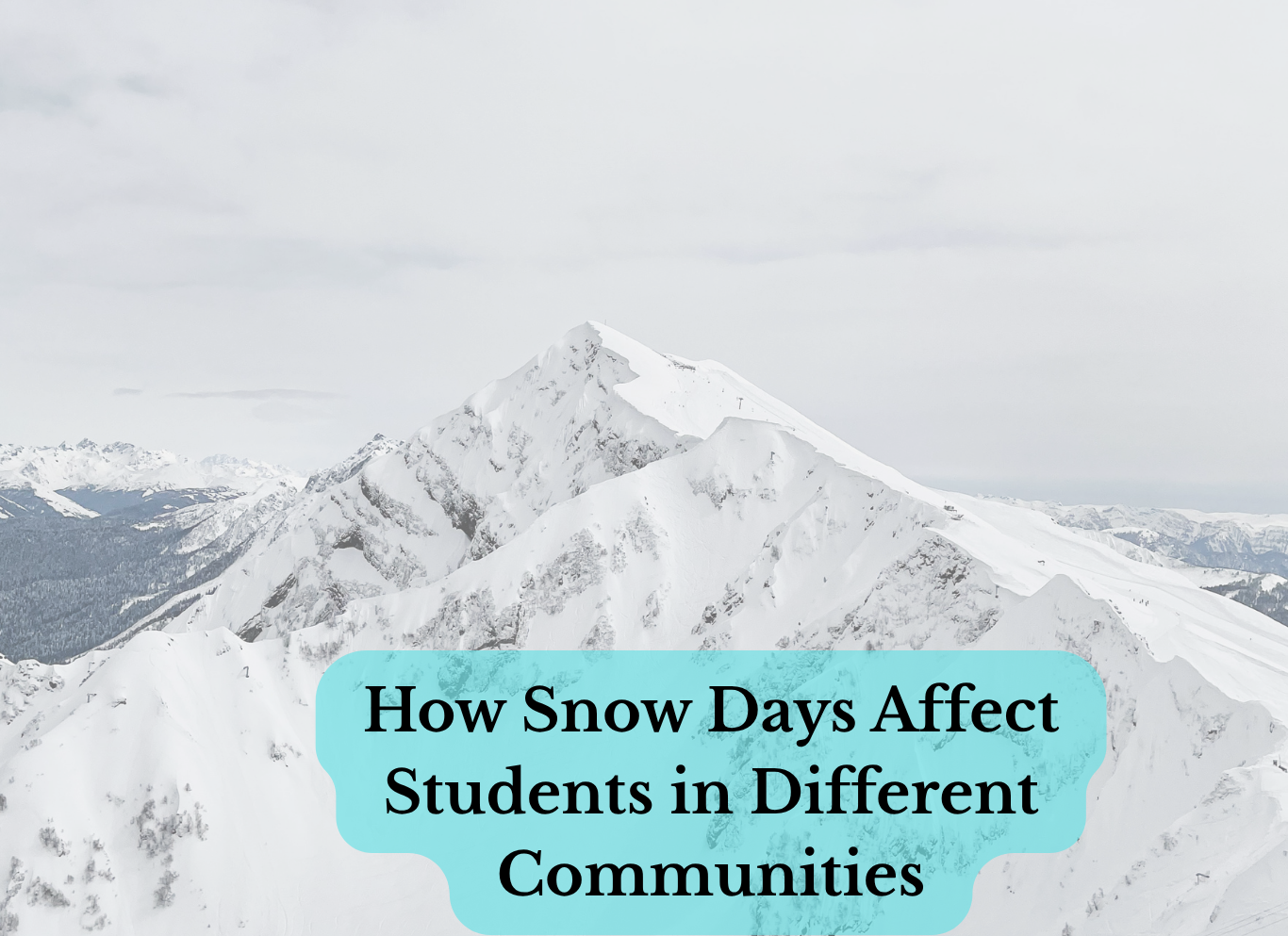 White snow covering the ground in winter