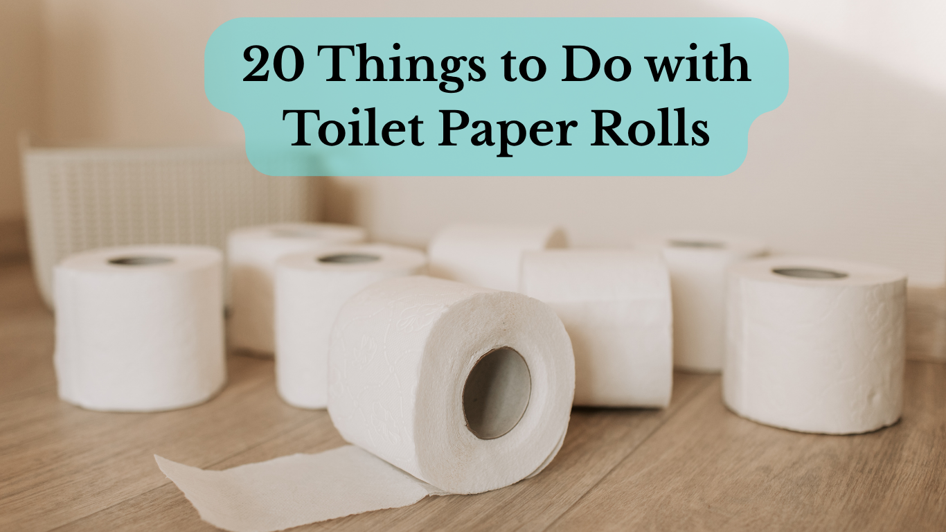 Toilet paper rolls arranged for creative DIY ideas