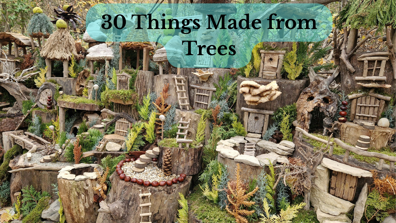 Various everyday products made from trees displayed together