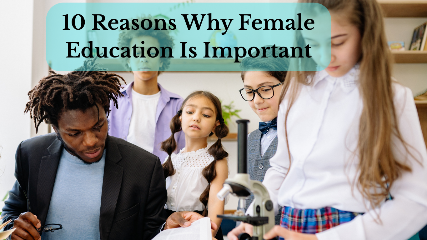 Girls learning together in a modern classroom